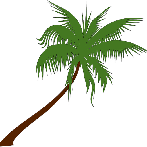 cropped-palm-tree-155730_640.png – The Church of the Palms UCC