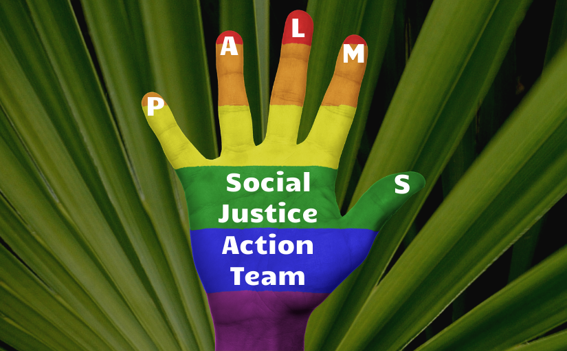 Social Justice Action Team PALMS